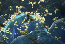 Covid, the monoclonal that will help the frail to fight the disease arrives in Italy