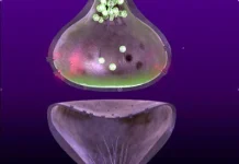 Detoxification: Solution or “Symptom”? Adjusting the Game in Addiction Cure