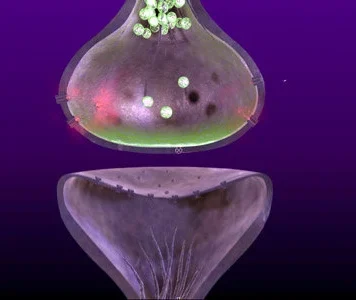 Detoxification: Solution or “Symptom”? Adjusting the Game in Addiction Cure