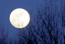 The myth of the full moon and its effect on man
